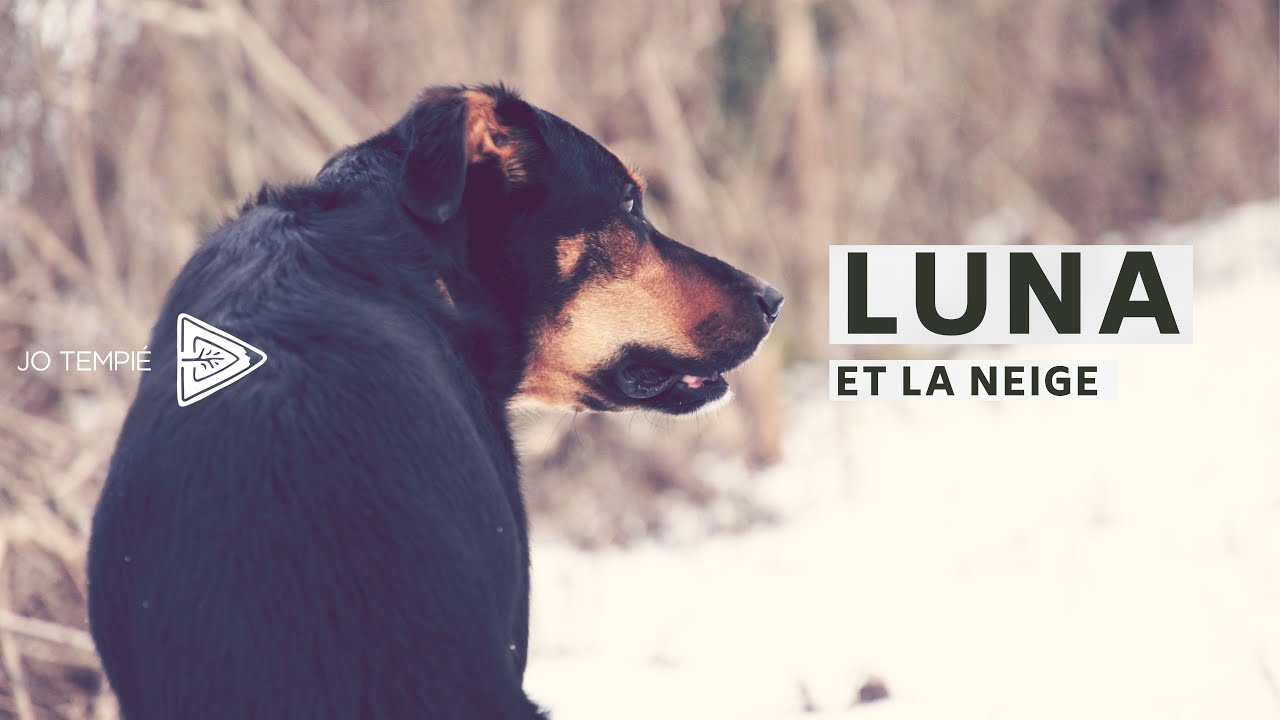 Luna et la neige