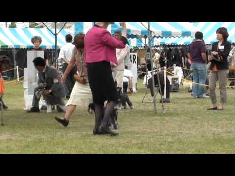 luna520 maishima2012