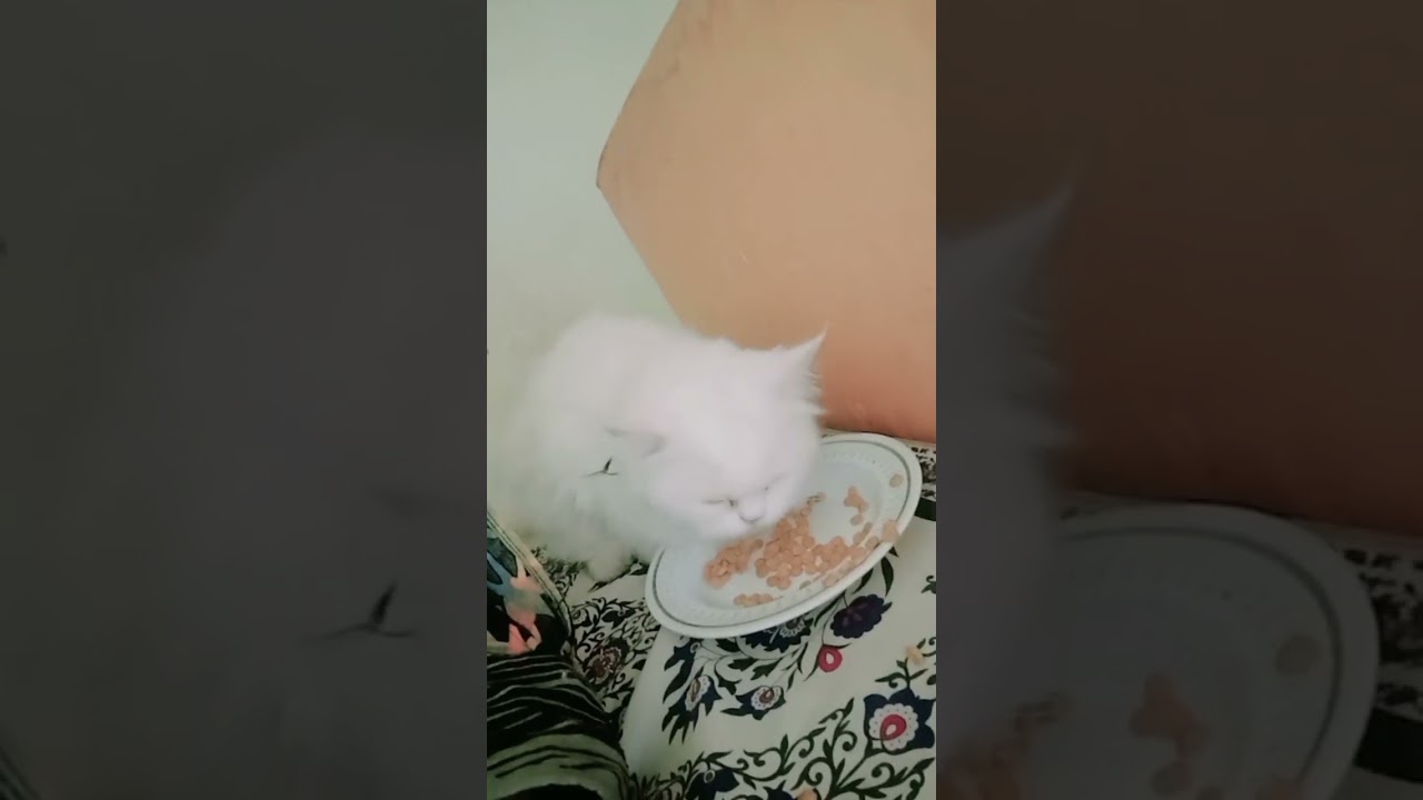 Lunch Time😋