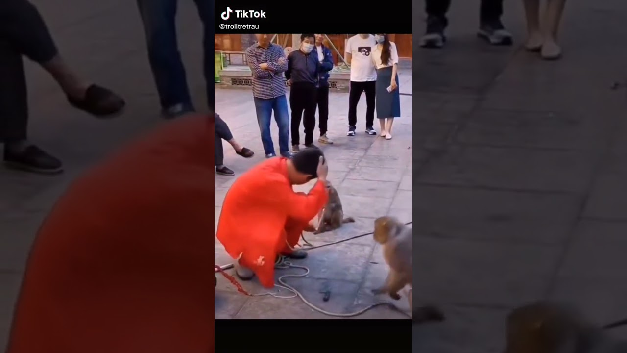 luật hoa quả #shorts #tiktok #haihuoc #funny