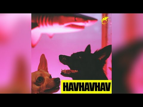 Lvbel C5 - HAVHAVHAV (Bass Boosted) [1 HOUR]