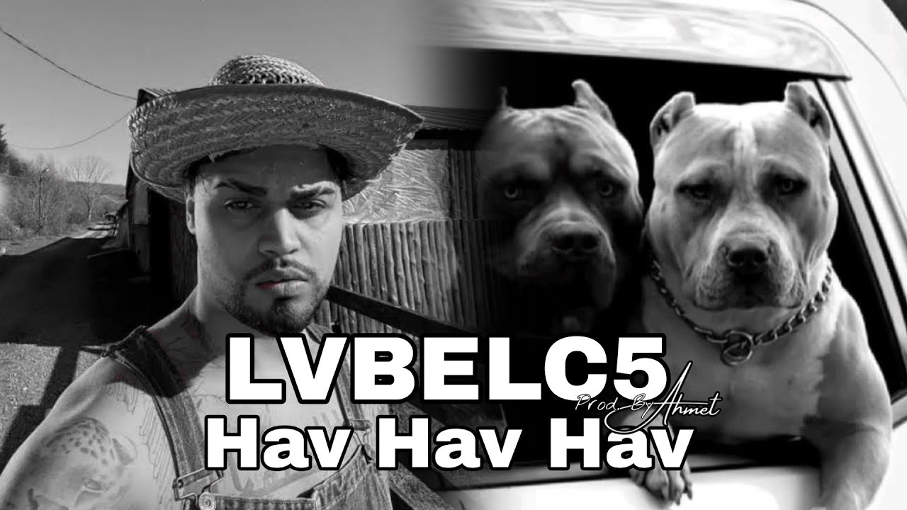 LVBEL C5 - HAVHAVHAV (Slowed Reverb)