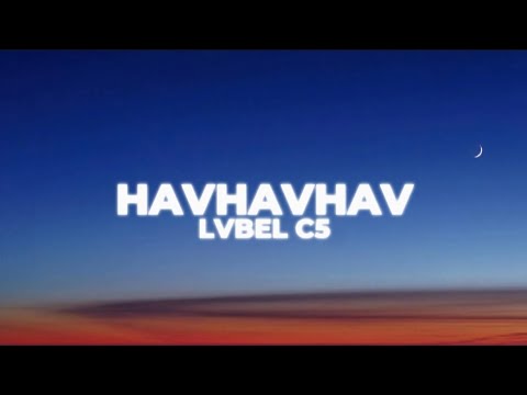 LVBEL C5 - HAVHAVHAV (Sözleri)