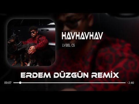 Lvbel C5 - Onlar Arkadan Havlar  ( Erdem Düzgün Remix ) |HAVHAVHAV