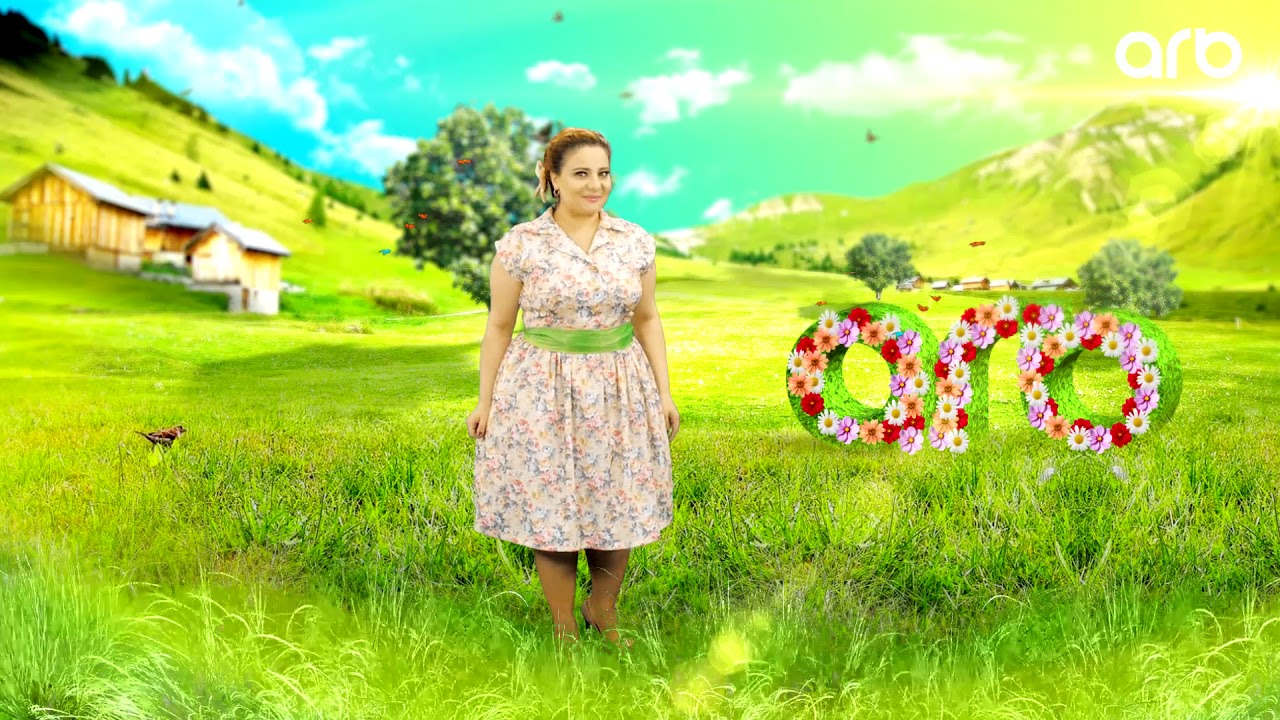 Ülviyyə Əliyeva - ARB TV-də Fərqli yayım