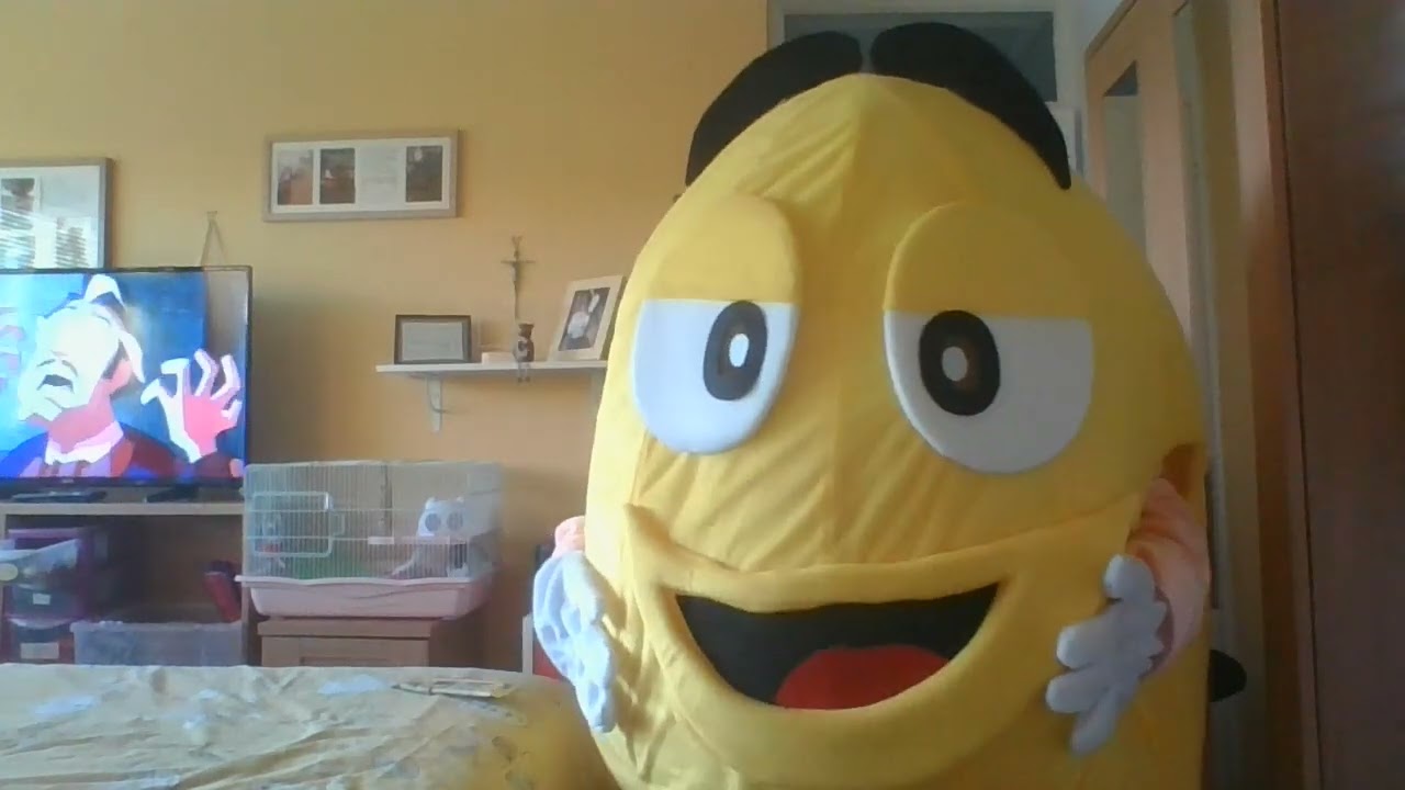m and m mascote costume