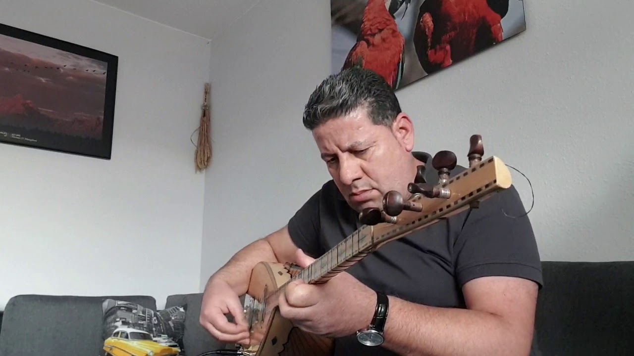 M. Biram Elektrische Baglama - Fedayda