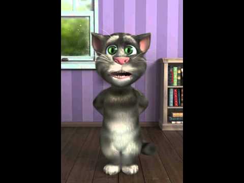 maay maay cat