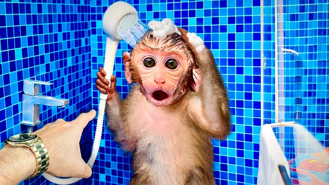 MACACO BEBÊ TOMANDO BANHO SOZINHO PELA PRIMEIRA VEZ
