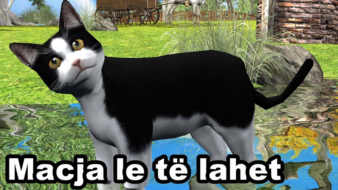 MACJA LE TE LAHET - Kenge per femije - Swimming Cat, Song for children by Studio 