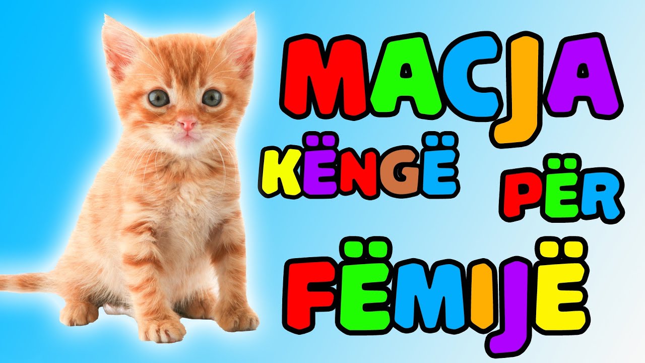 macja le te lahet kenge (Kenge per femije) │ Bleta ™