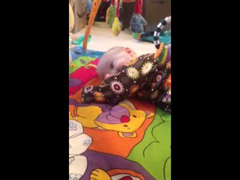 Madelyn rolled