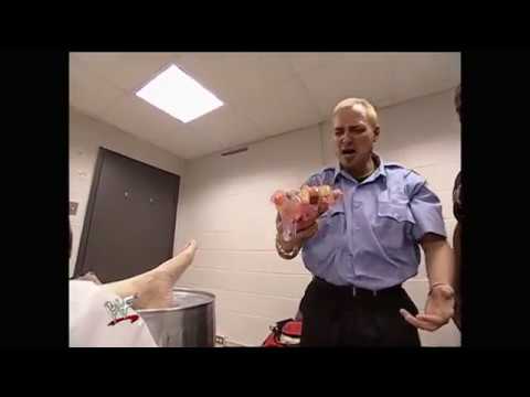 Mae Young gives birth to a hand