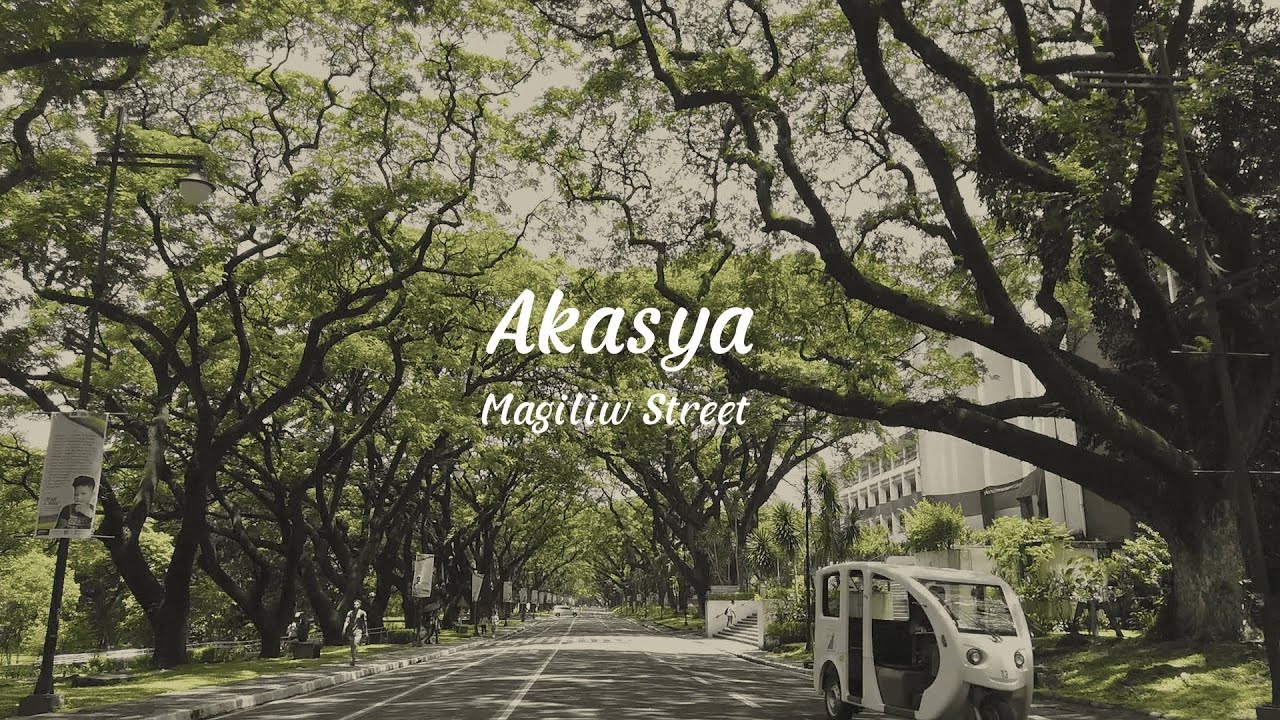 Magiliw Street - Akasya (Official Lyric Visualizer)