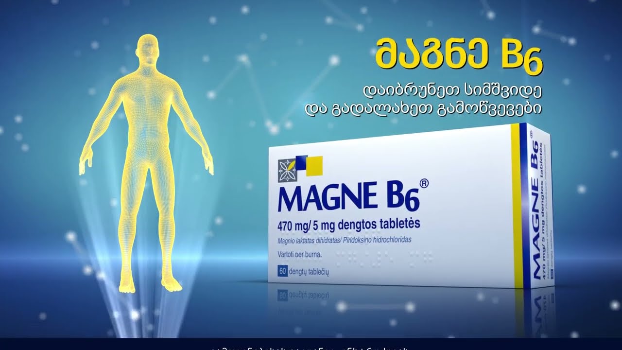 Magne B6