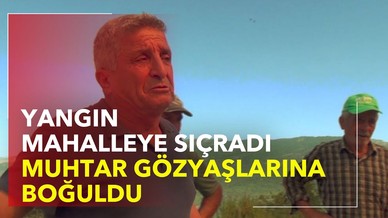 Mahalleye Sıçrayan Orman Yangını Muhtarı Gözyaşlarına Boğdu - TGRT Haber