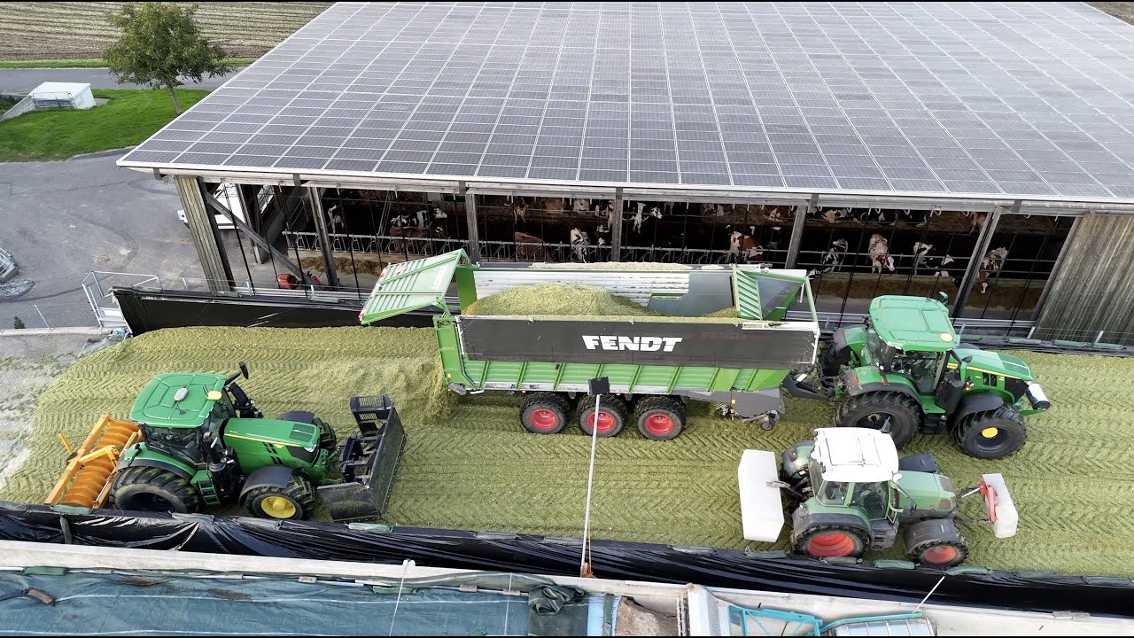 Maisernte im Leidenberg 🇨🇭🌽 ( Fahrsilo füllen mit Bunkerhäcksler )