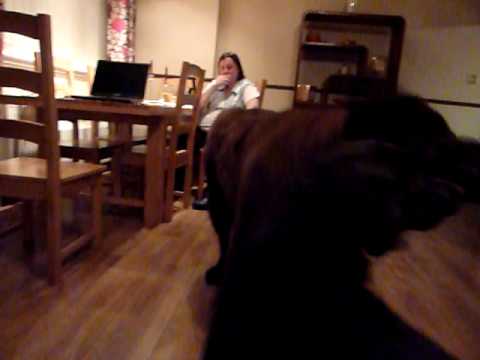 maisie 022.MOV