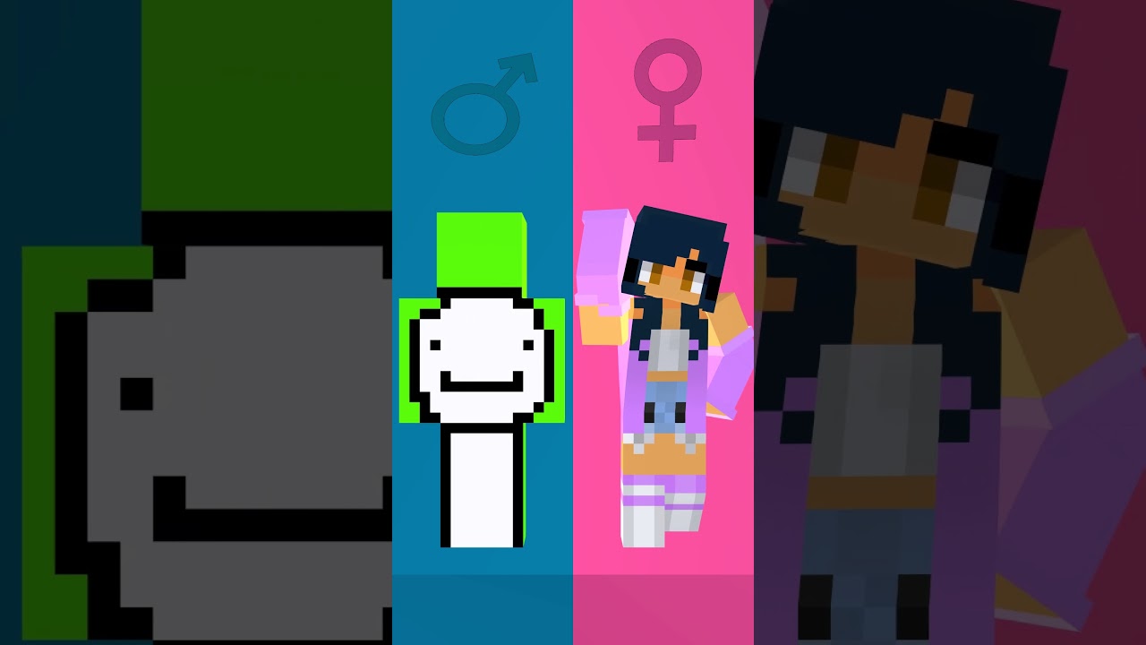 MAIZEN COUPLE #fypシ #maizen #minecraftanimation