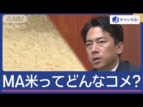 備蓄米の次は輸入「MA米」？　気になる値段はいくら【スーパーJチャンネル】(2025年6月12日)