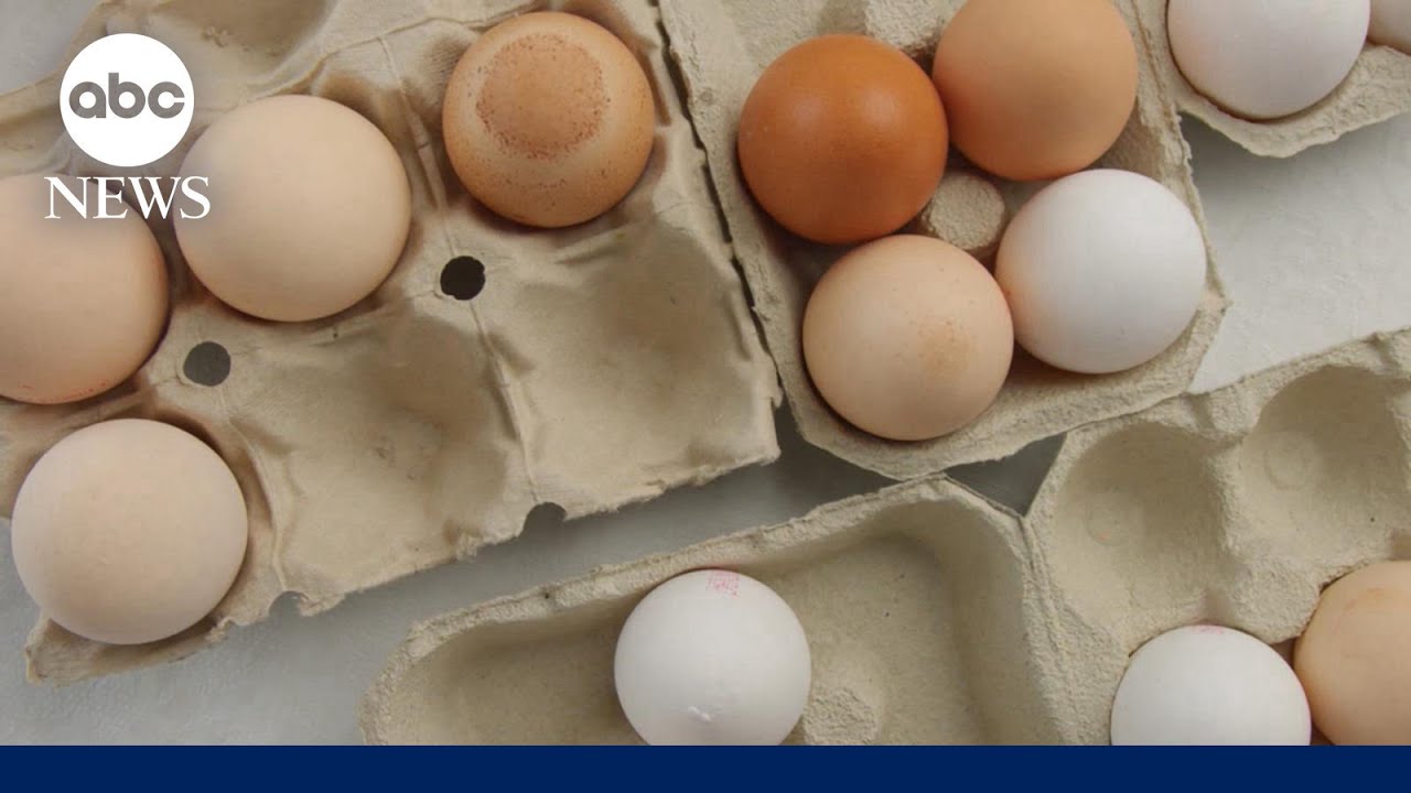 Major egg recall as salmonella outbreak sickens dozens
