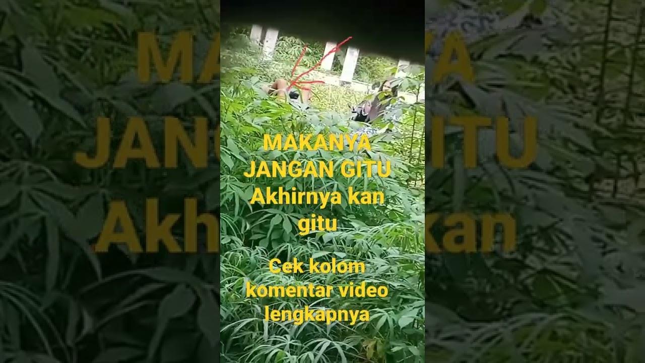 Makanya jangan di semak sema #shorts #short #semak  #shortvideo  #pacaran