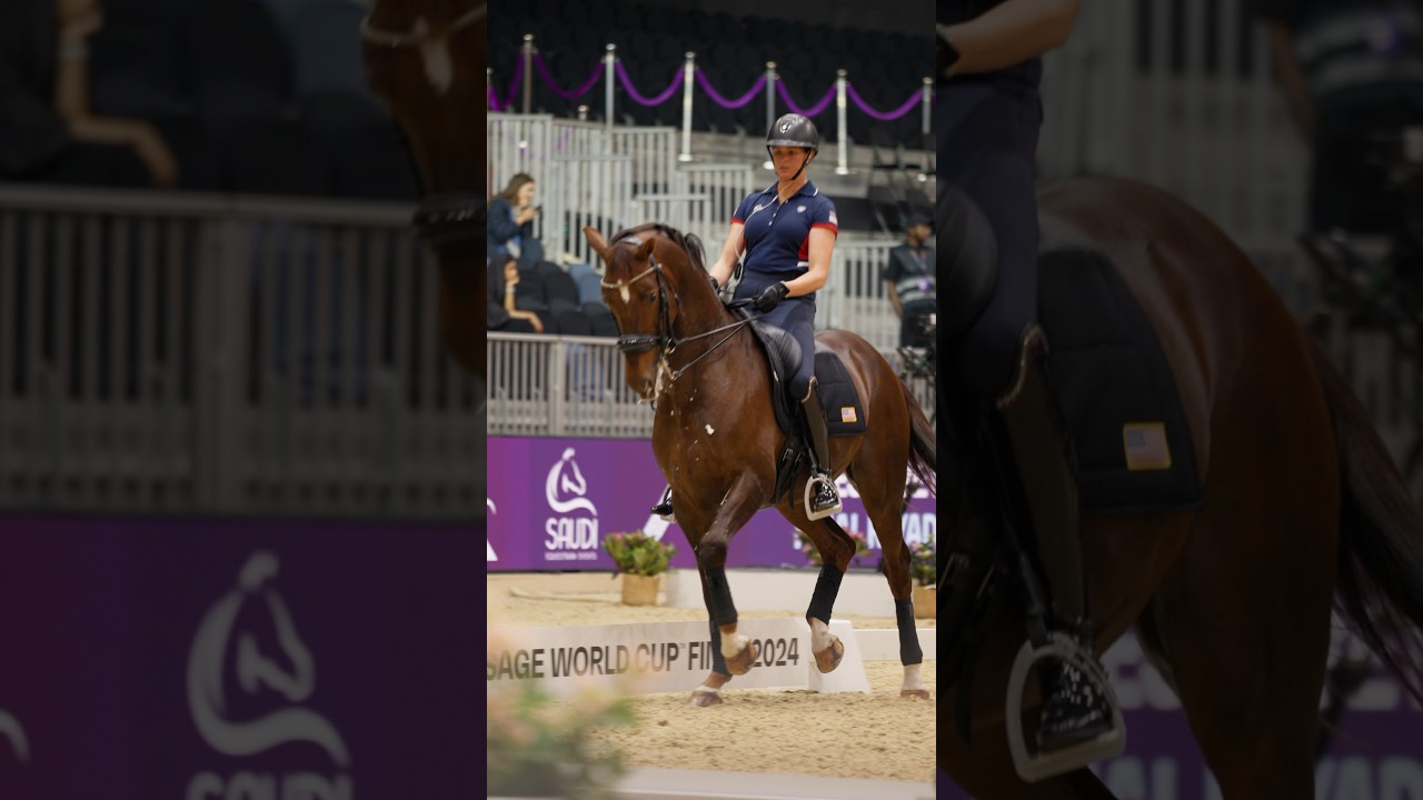 Make way for the  stunning FEI Dressage World Cup horses 🔥🤩