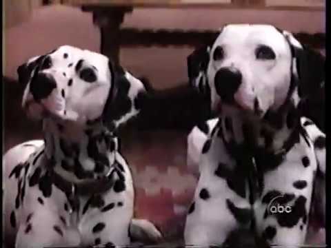 Making of Disney's 101 Dalmatians ABC Promo (1996)