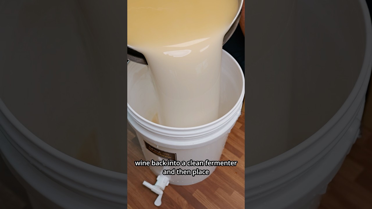 MAKING REAL SOJU FROM SCRATCH PART 1