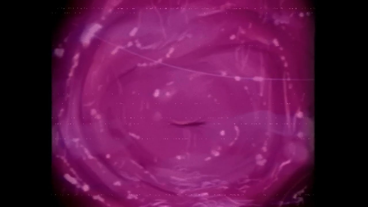MAL0/MALO vore (phone edition)