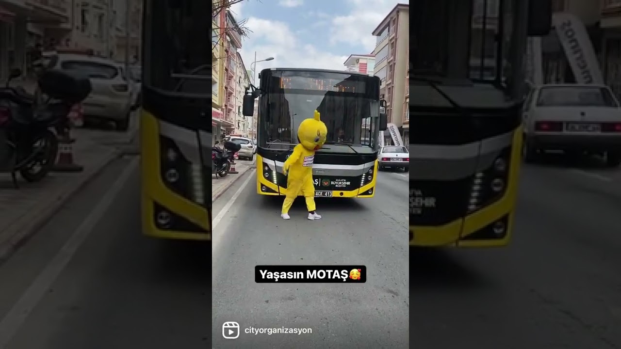 Malatya beni Özlemiş (ABONE OL) #cityorganizasyon #fyp #youtube #shorts #fenomencivciv #halay
