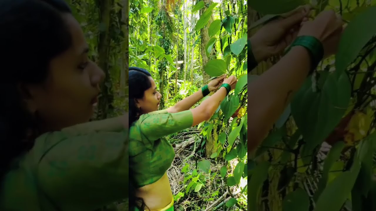 Mallu Model rambha ranjith kallingal #intagram #mallu #cute #love #lovesong #aunty #bgm