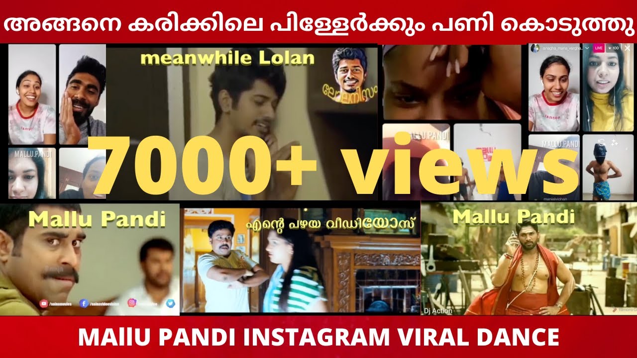 Mallu Pandi Video| live dance troll | karikku troll |Mallu Pandi live dance troll | viral dance
