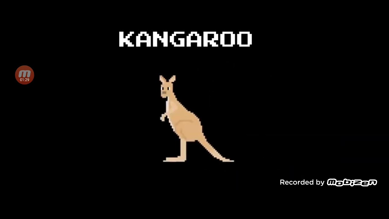 Mammals - The Kids' Picture Show