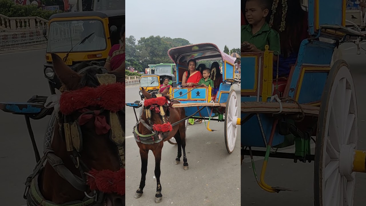 mamma's  boy|| mom & son riding horse