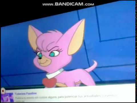 Mammoth Mutt in spanish (2)
