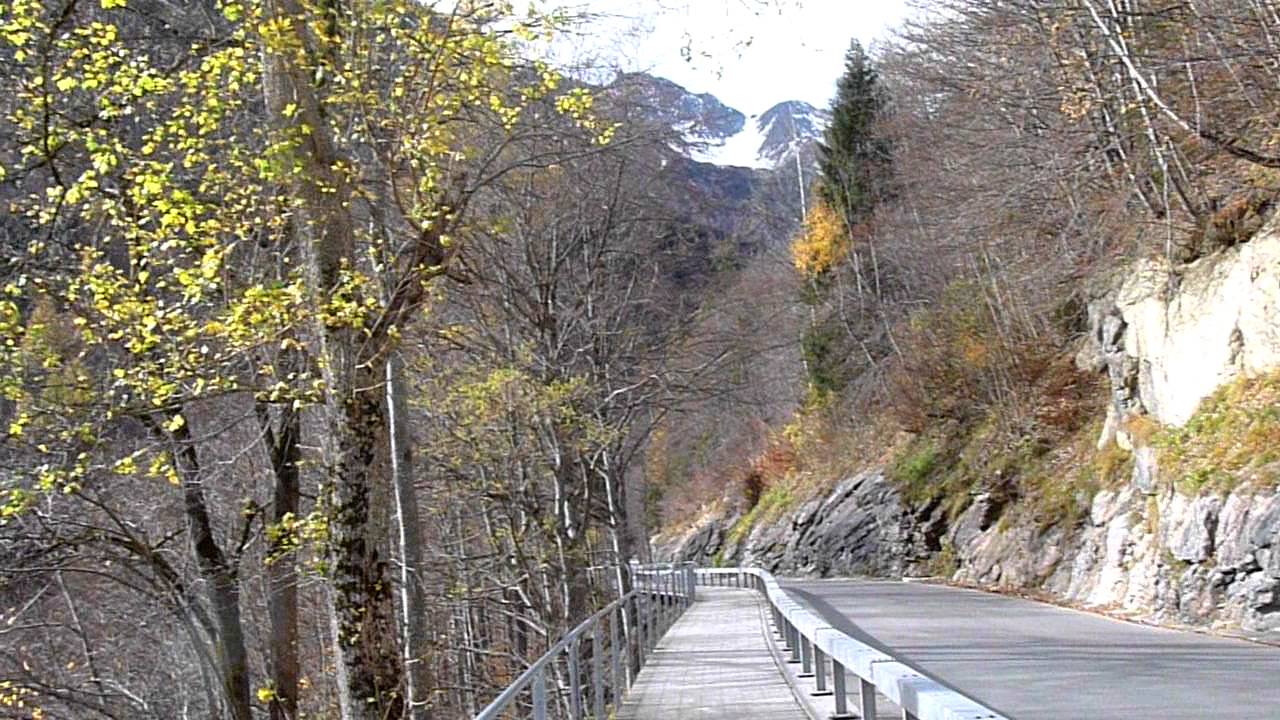 manaf