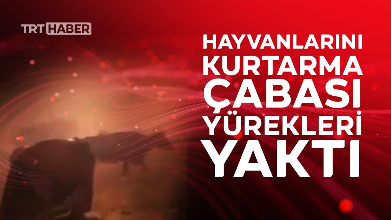Manavgatlı çiftçinin çaresizliği: Gel gitme ne olursun...