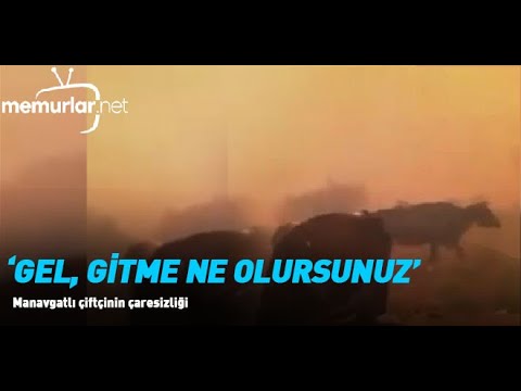 Manavgatlı çiftçinin çaresizliği: Gel gitme ne olursunuz gelin...