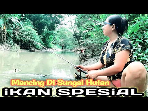 Mancing di sungai besar HUTAN alam pedesaan dapat ikan Air Tawar SPESIAL