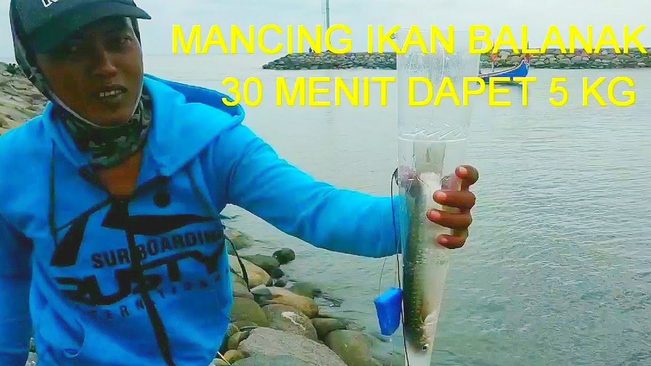 Mancing Ikan Belanak Pakek Botol 30 Menit Dapet 5 kg