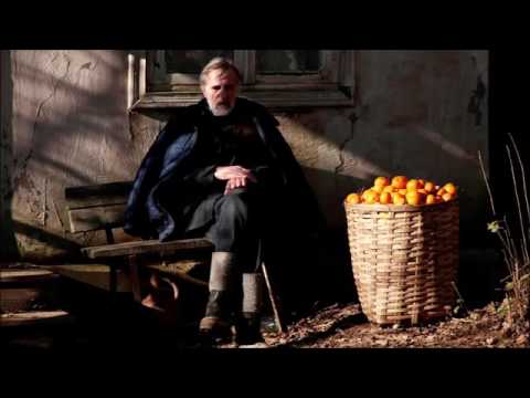 Mandalina Bahçesi - Mandariinid - Tangerines Music