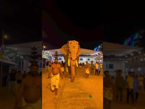 mangalamkunnu ayyappan