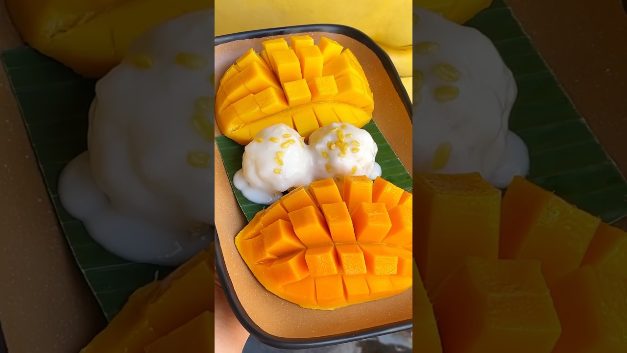 MANGGA PEMERSATU BANGSA ‼️