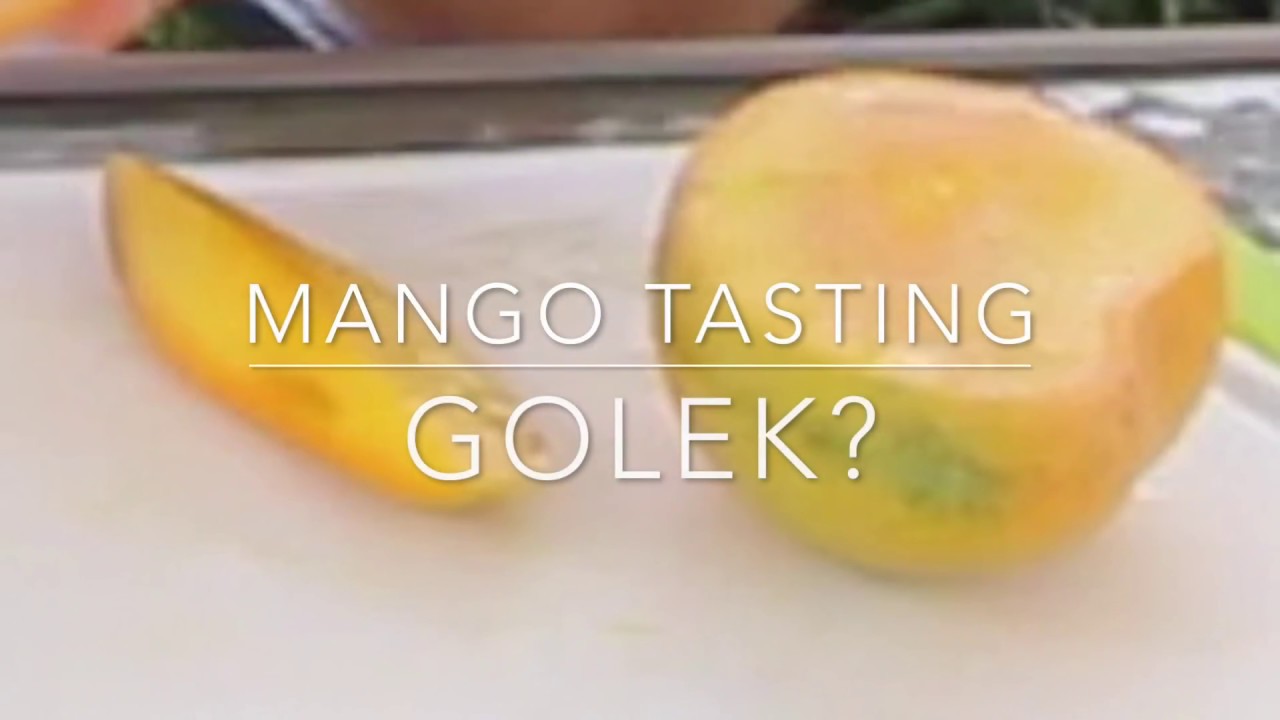 Mango Tasting - Golek? - Indonesian Mango grown in Florida