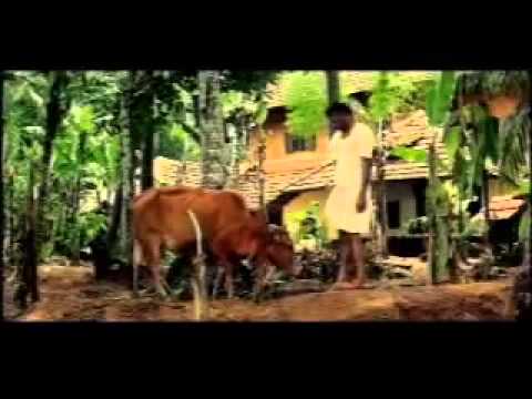 maranju poyathenthe nee.mp4