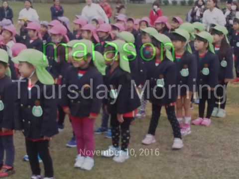 Marason taikai