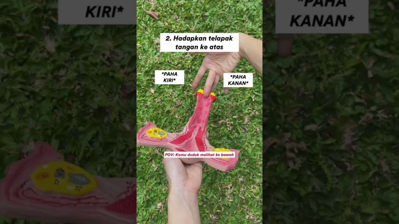 Mari Kenali Serviks Kamu #youtubeshorts