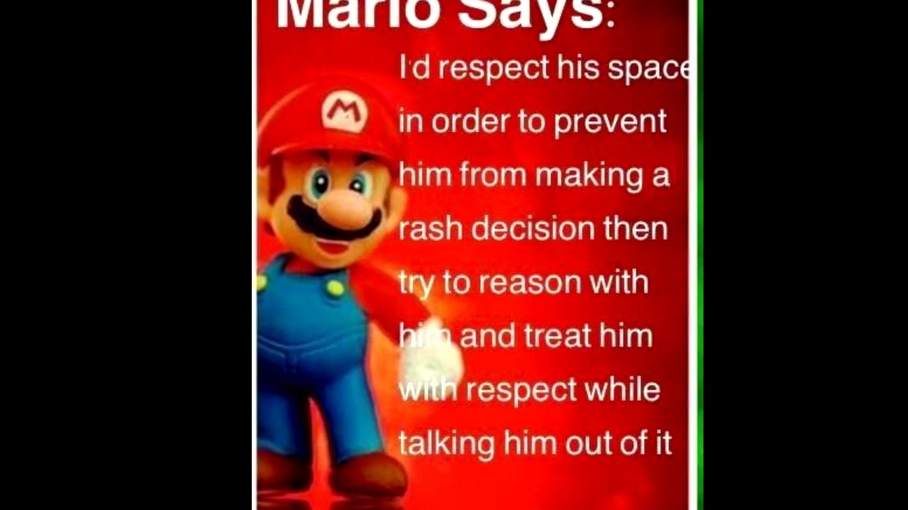 Mario & Luigi Says