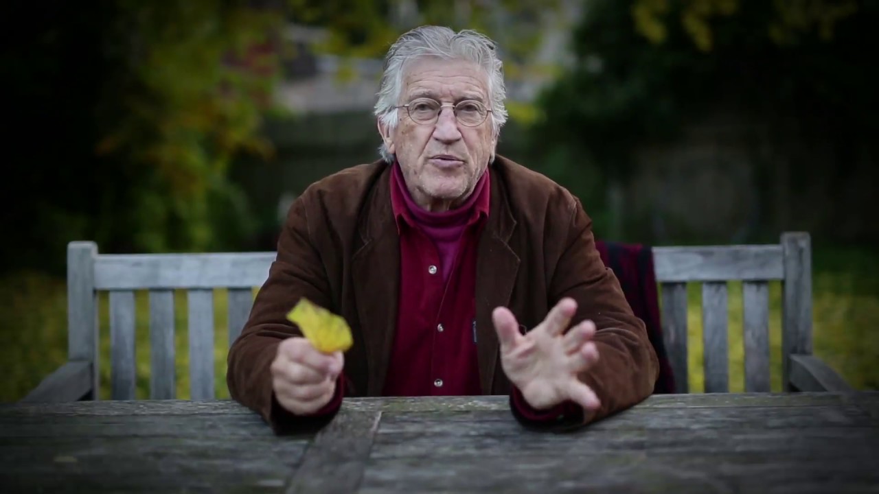Marlow Hotchkiss - tools for Community Building